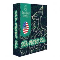 Auto Delirium Moby XL (x4) Auto Delirium Moby XL (x4)